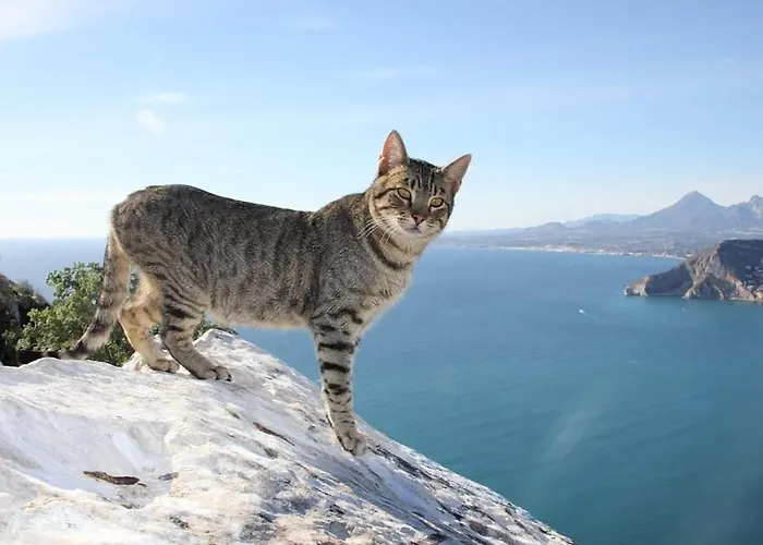 Arenal 2 - Plusholidays Lägenhet